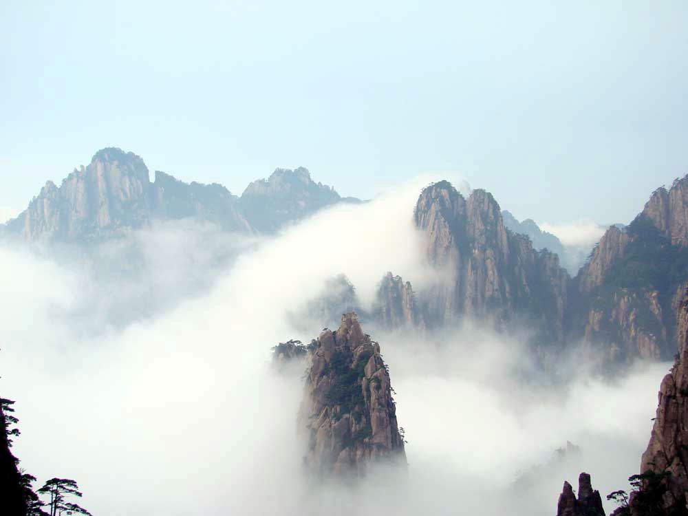 庐山 Lu Shan Yun Wu tea